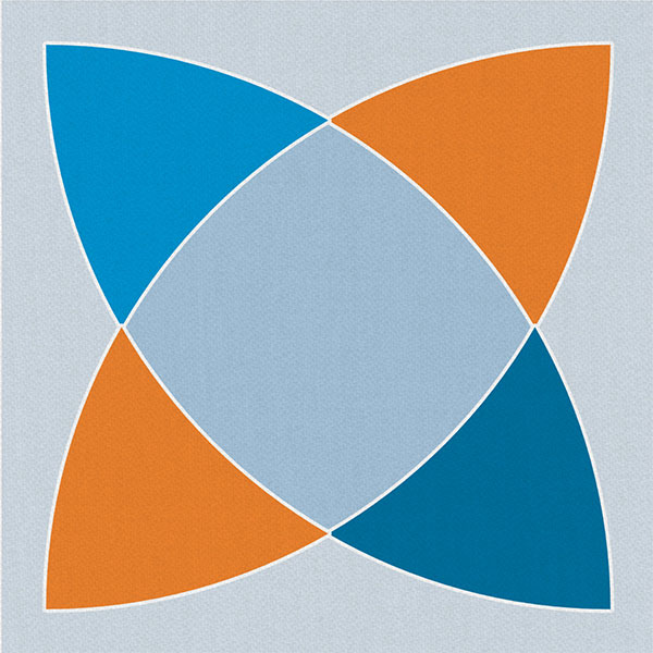 Safeguarding reviews